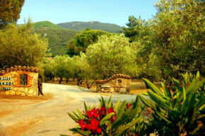 Meublés de Tourisme Casa Erbaggio